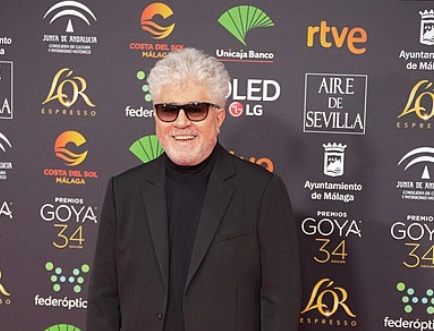 <p>How is Spanish and European cinema perceived by US audiences?</p>